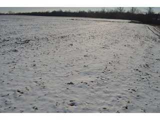 54.7 Acres with 50 tillable and 4.3 wooded.  Surrounded by heavy deer population on CRP land.  Great trophy deer hunting on established food plots.  Hunting tower.

Receive income on tillable acres while abundance of deer hunting on established food plot. - Great Investment Opportunity - Tillable Land, Recreation & Building Site